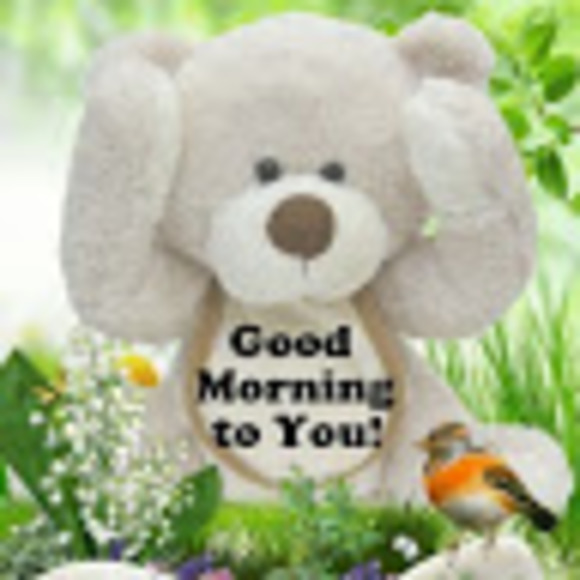 loraine_salmon